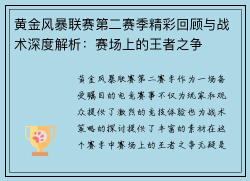 黄金风暴联赛第二赛季精彩回顾与战术深度解析：赛场上的王者之争